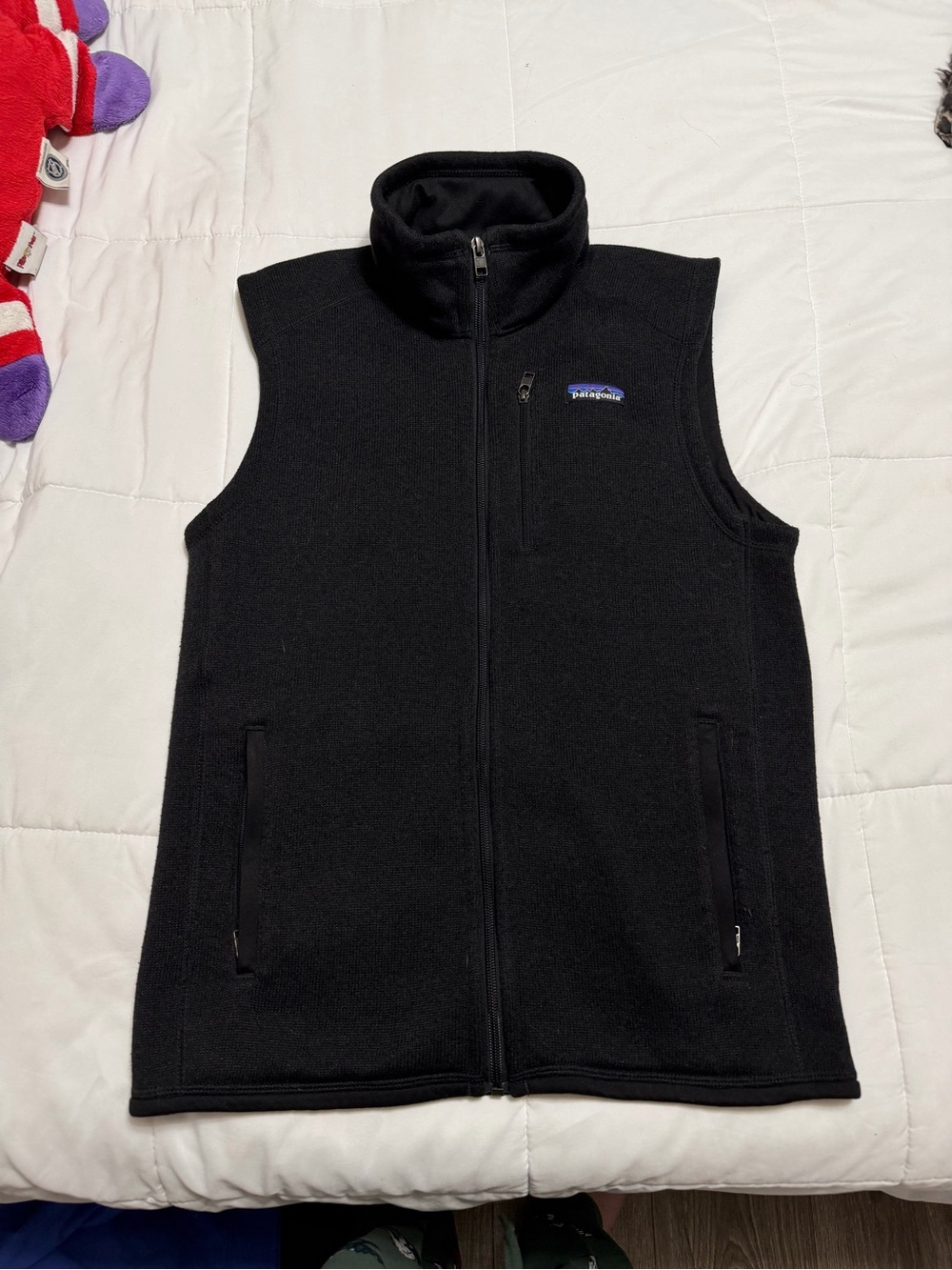 Patagonia Black Fleece Vest